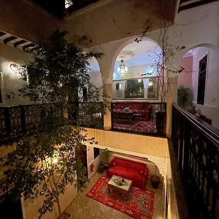 Riad Gjulja-3